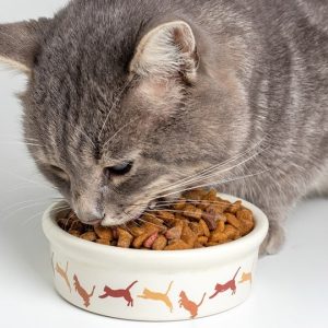 VetCare Allergy Relief Drops