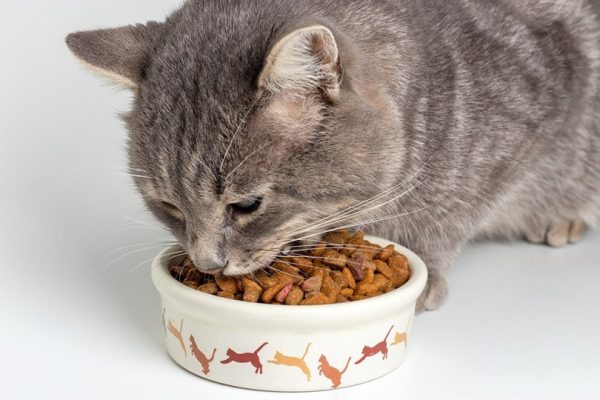 VetCare Allergy Relief Drops